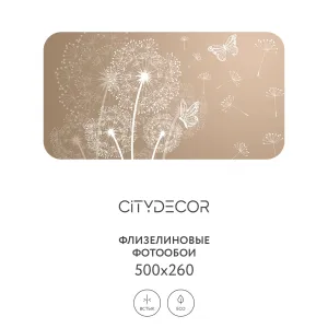 Фотообои рулонные Citydecor Невесомость 7 на флизелиновой основе 500x260 см