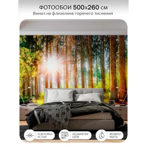 Фотообои рулонные Citydecor Природа 149 на флизелиновой основе 500x260 см