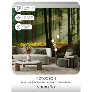 Фотообои рулонные Citydecor Природа 28 на флизелиновой основе 500x260 см