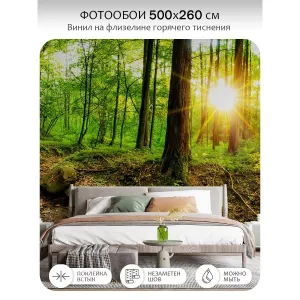 Фотообои рулонные Citydecor Природа 37 на флизелиновой основе 500x260 см