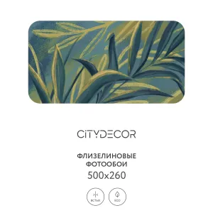 Дизайнерские фотообои рулонные Citydecor Sunset 16 на флизелиновой основе 500x260 см
