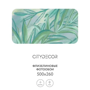 Дизайнерские фотообои рулонные Citydecor Sunset 20 на флизелиновой основе 500x260 см