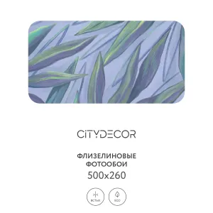 Дизайнерские фотообои рулонные Citydecor Sunset 24 на флизелиновой основе 500x260 см