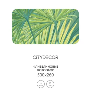 Дизайнерские фотообои рулонные Citydecor Sunset 30 на флизелиновой основе 500x260 см