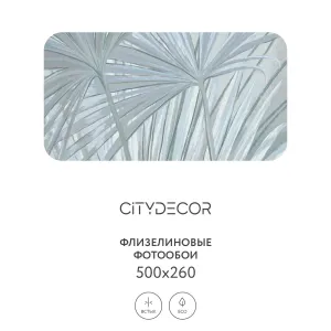 Дизайнерские фотообои рулонные Citydecor Sunset 34 на флизелиновой основе 500x260 см