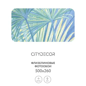 Дизайнерские фотообои рулонные Citydecor Sunset 35 на флизелиновой основе 500x260 см