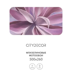 Дизайнерские фотообои рулонные Citydecor Sunset 41 на флизелиновой основе 500x260 см