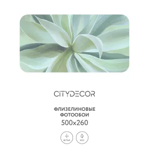 Дизайнерские фотообои рулонные Citydecor Sunset 43 на флизелиновой основе 500x260 см