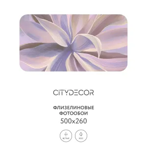 Дизайнерские фотообои рулонные Citydecor Sunset 44 на флизелиновой основе 500x260 см