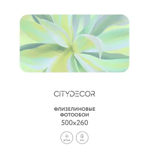 Дизайнерские фотообои рулонные Citydecor Sunset 45 на флизелиновой основе 500x260 см