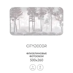 Дизайнерские фотообои рулонные Citydecor Таинственный лес 15 на флизелиновой основе 500x260 см