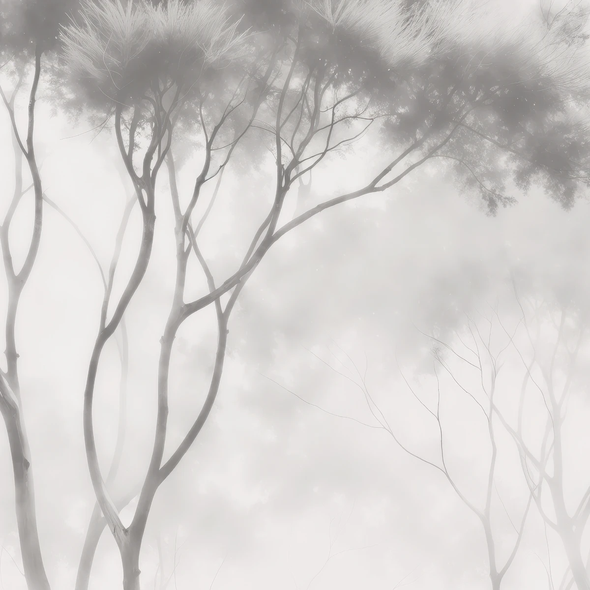 Фотообои на заказ по индивидуальному размеру Citydecor Biom 20