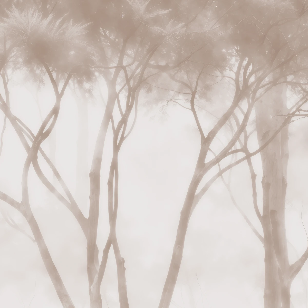 Фотообои на заказ по индивидуальному размеру Citydecor Biom 21