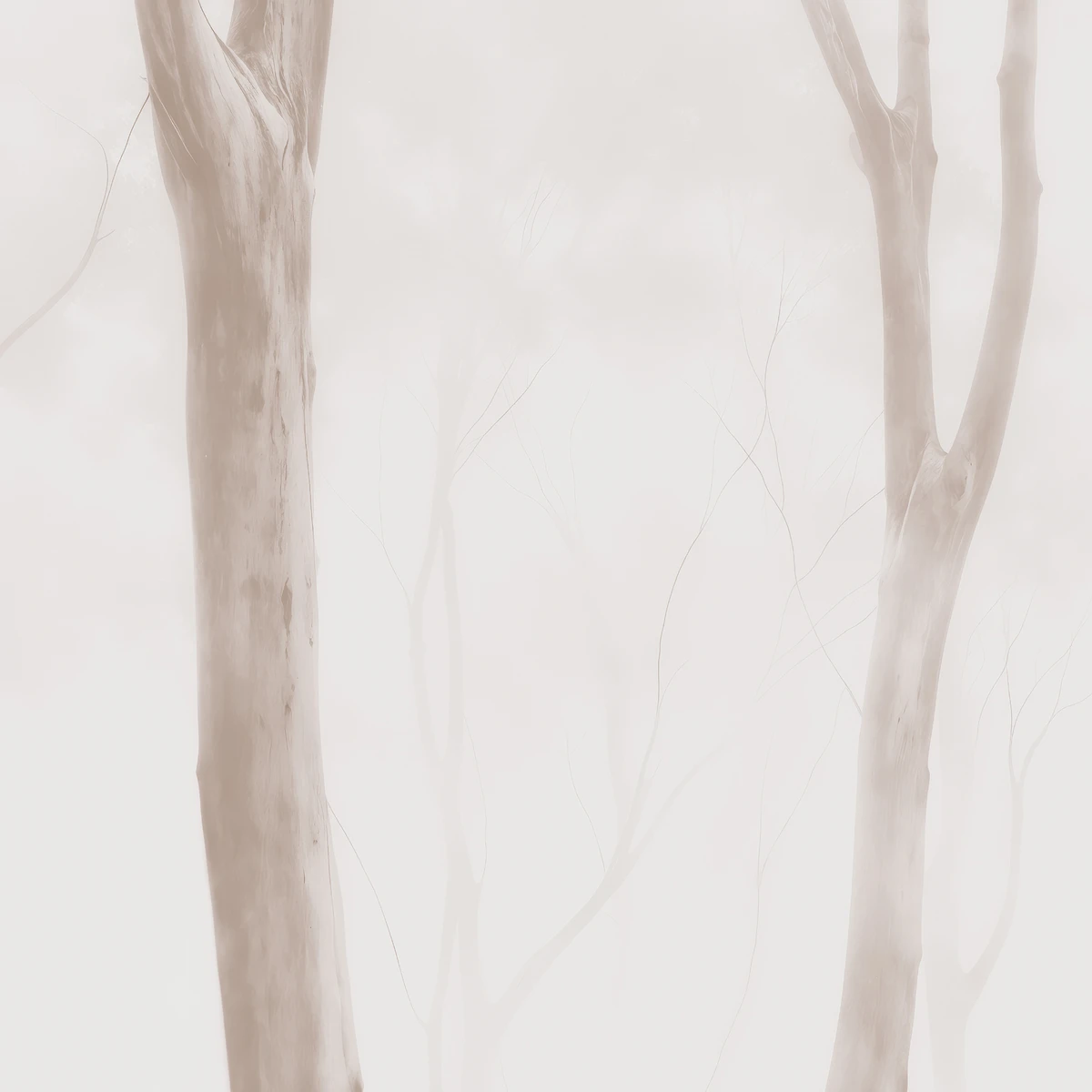 Фотообои на заказ по индивидуальному размеру Citydecor Biom 21