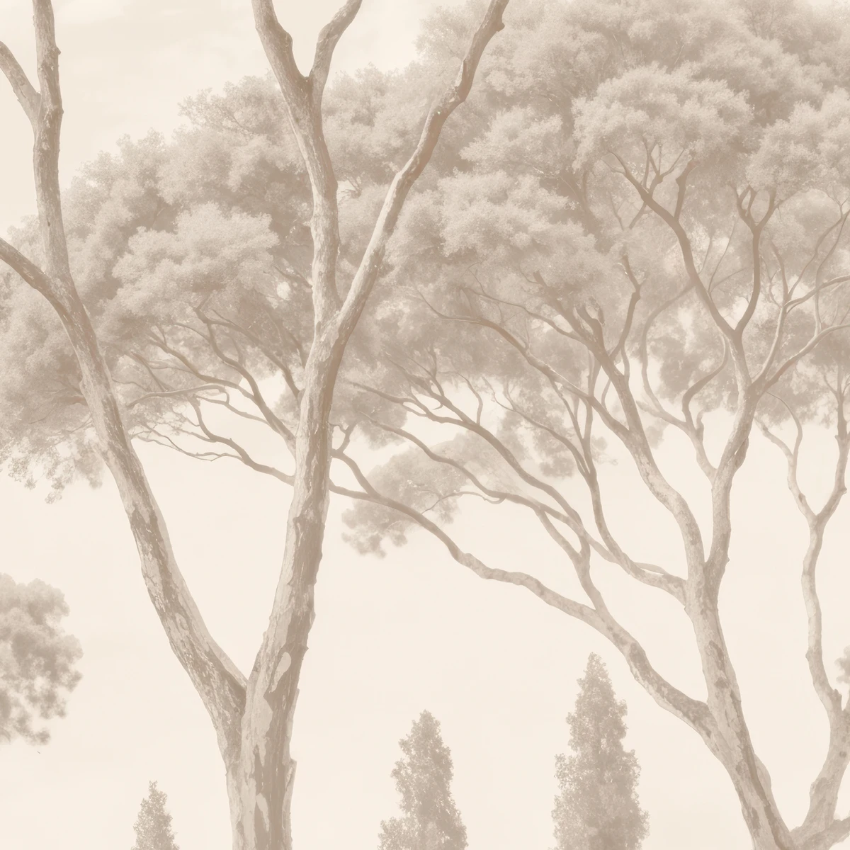 Фотообои на заказ по индивидуальному размеру Citydecor Biom 24