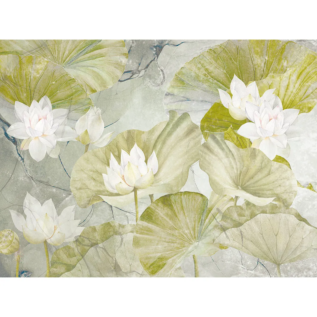 Дизайнерские фотообои по индивидуальному размеру Citydecor Blossom 12