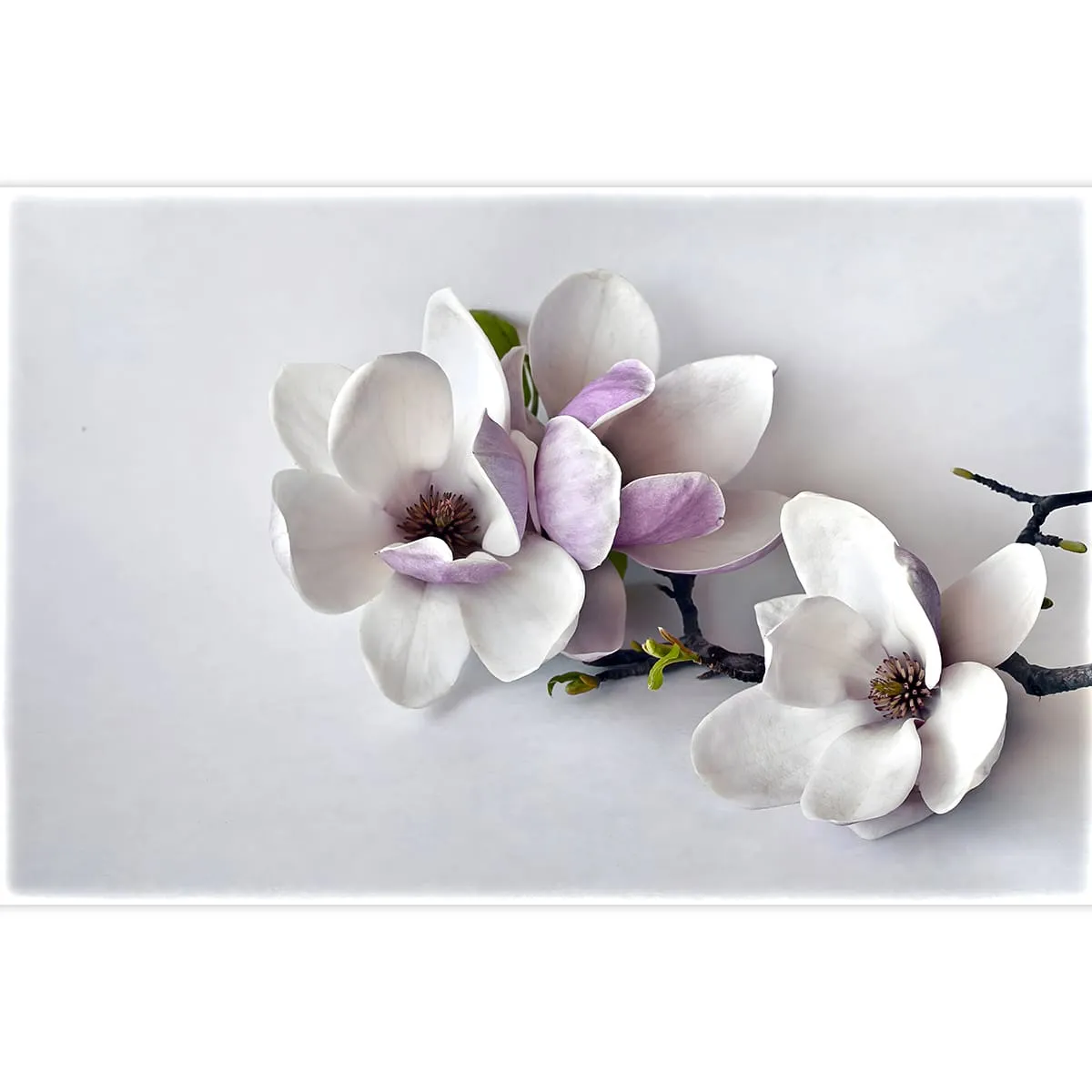 Фотообои на заказ по индивидуальному размеру Citydecor Flower town 17