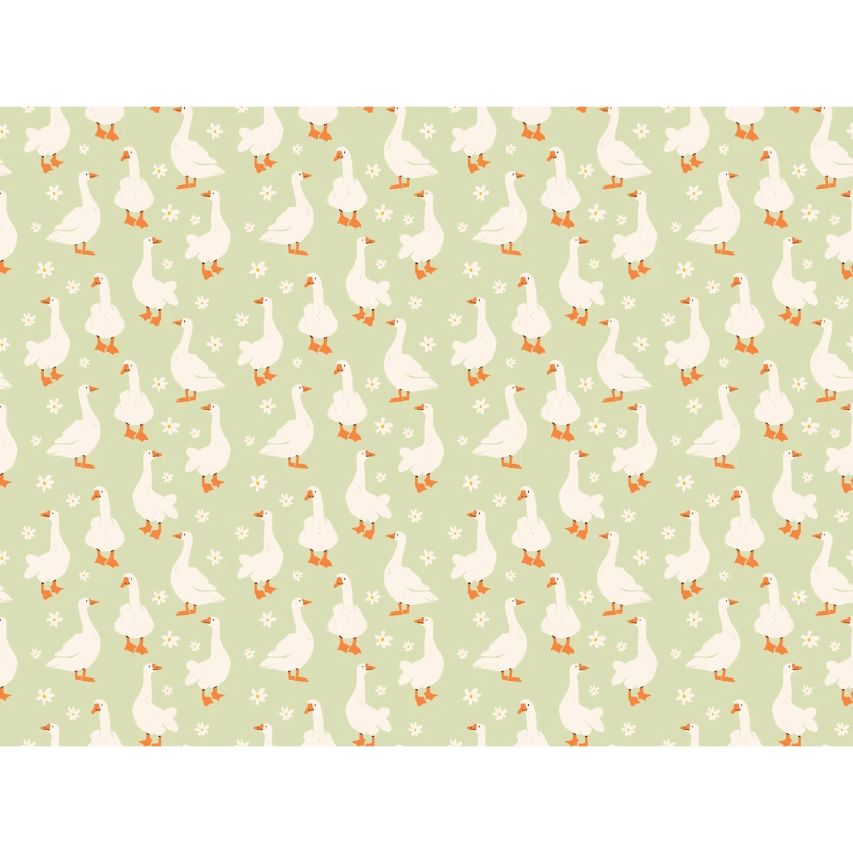 Фотообои на заказ по индивидуальному размеру Citydecor Гуси 1