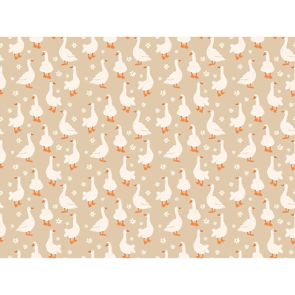 Фотообои на заказ по индивидуальному размеру Citydecor Гуси 2