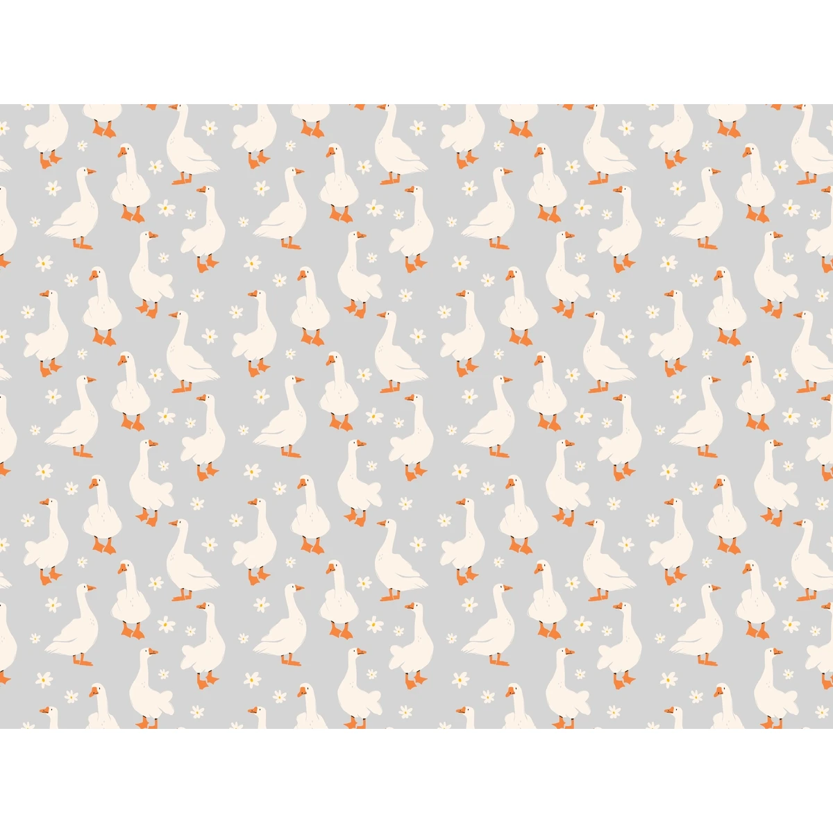 Фотообои на заказ по индивидуальному размеру Citydecor Гуси 3