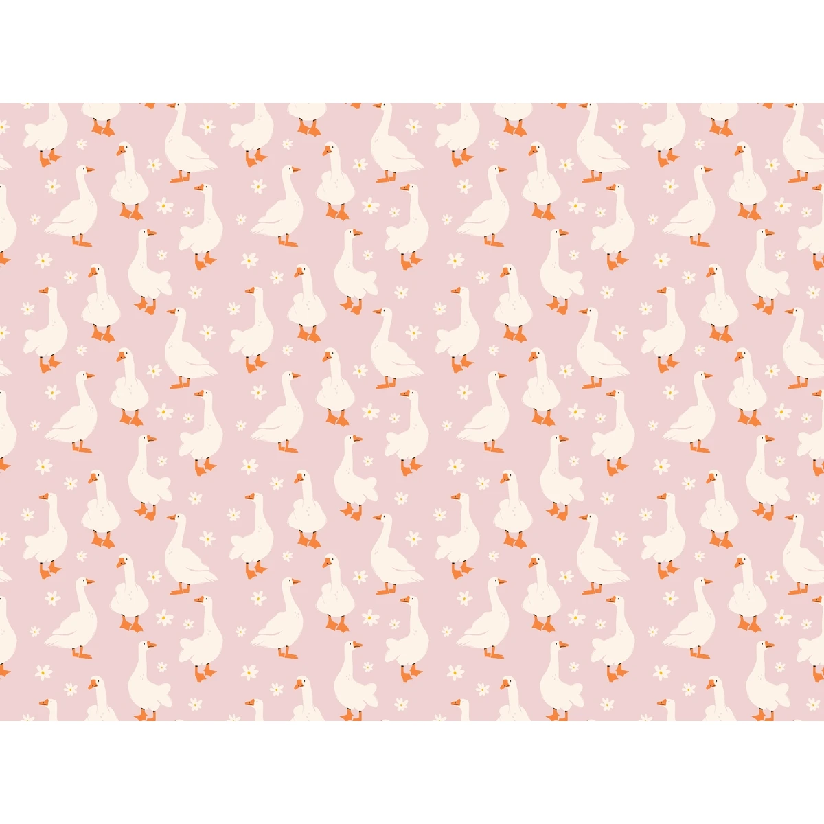 Фотообои на заказ по индивидуальному размеру Citydecor Гуси 4