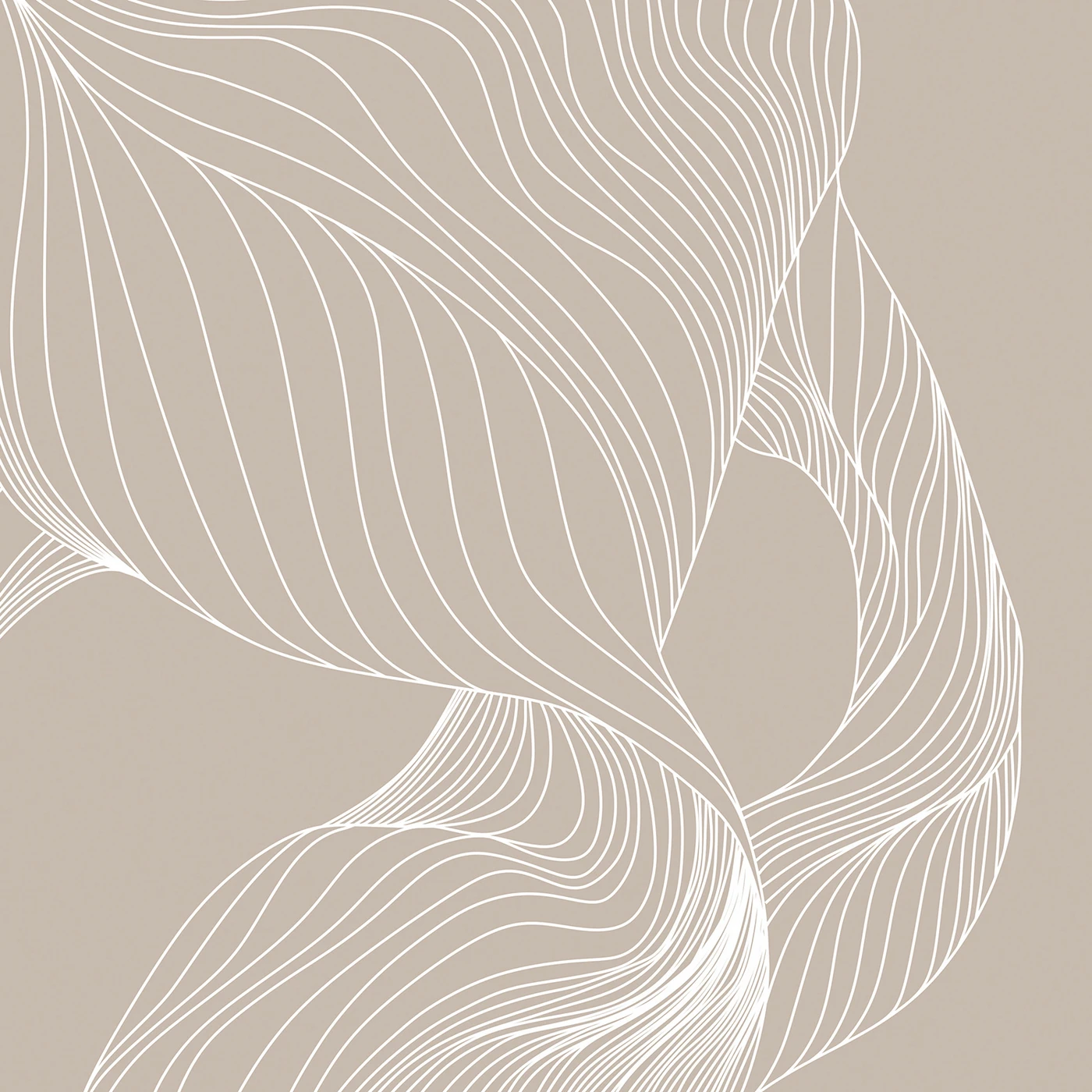 Фотообои на заказ по индивидуальному размеру Citydecor Perfect Lines 51