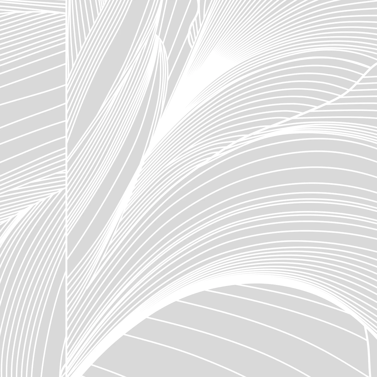 Фотообои на заказ по индивидуальному размеру Citydecor Perfect Lines 79