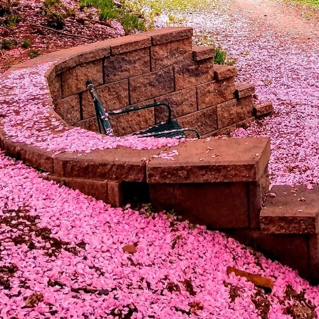 Фотообои на заказ по индивидуальному размеру Citydecor Природа 148