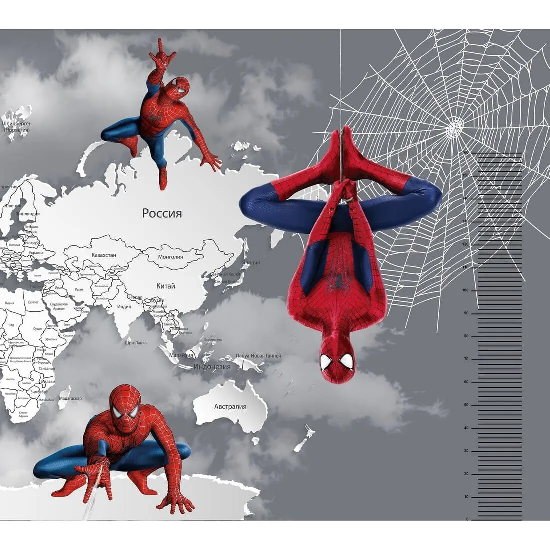 Дизайнерские фотообои по индивидуальному размеру Citydecor Superhero (карта мира с ростомером) Spider-Man 5