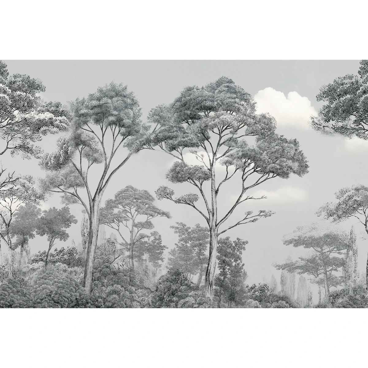 Фотообои на заказ по индивидуальному размеру Citydecor Таинственный лес 44