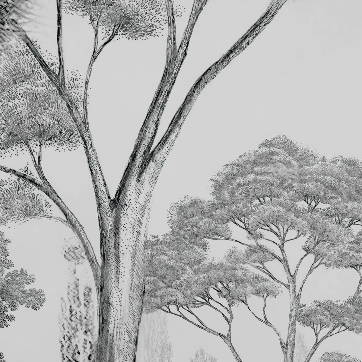 Фотообои на заказ по индивидуальному размеру Citydecor Таинственный лес 44