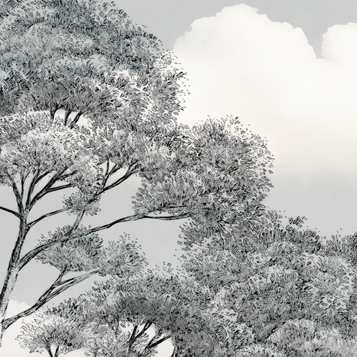 Фотообои на заказ по индивидуальному размеру Citydecor Таинственный лес 44