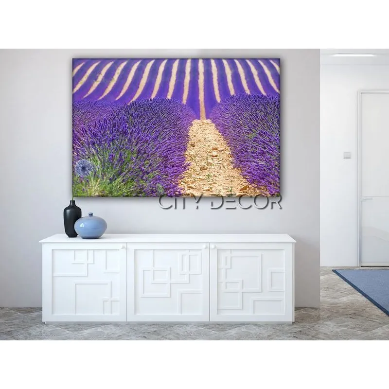 Модульная картина Citydecor Цветы/Растения арт. 1.114 (1 модуль) 60x90 см