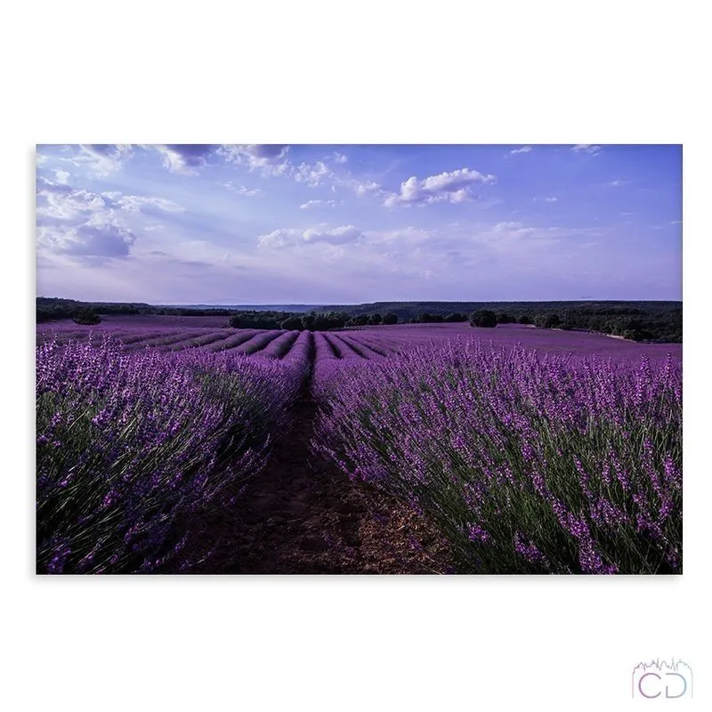 Модульная картина Citydecor Цветы/Растения арт. 1.118 (1 модуль) 60x90 см