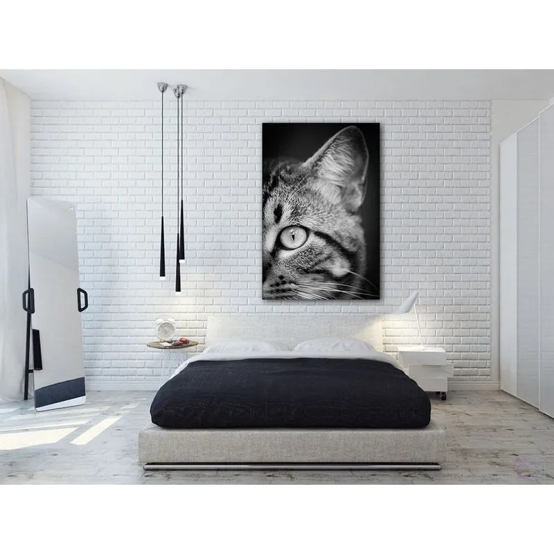 Модульная картина Citydecor Животные/Птицы арт. 1.128 (1 модуль) 90x60 см