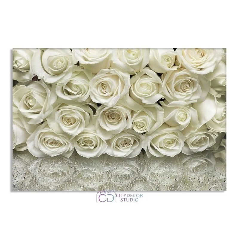 Модульная картина Citydecor Цветы/Растения арт. 1.13 (1 модуль) 60x90 см