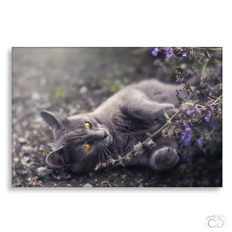 Модульная картина Citydecor Животные/Птицы арт. 1.66 (1 модуль) 60x90 см