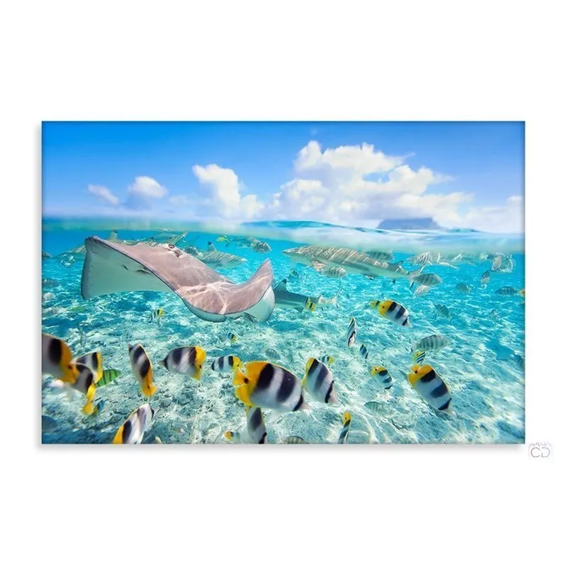 Модульная картина Citydecor Море/Водопады арт. 1.76 (1 модуль) 60x90 см