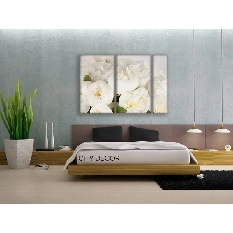 Модульная картина Citydecor Цветы/Растения арт. 11.18 (3 модуля) 75x118 см