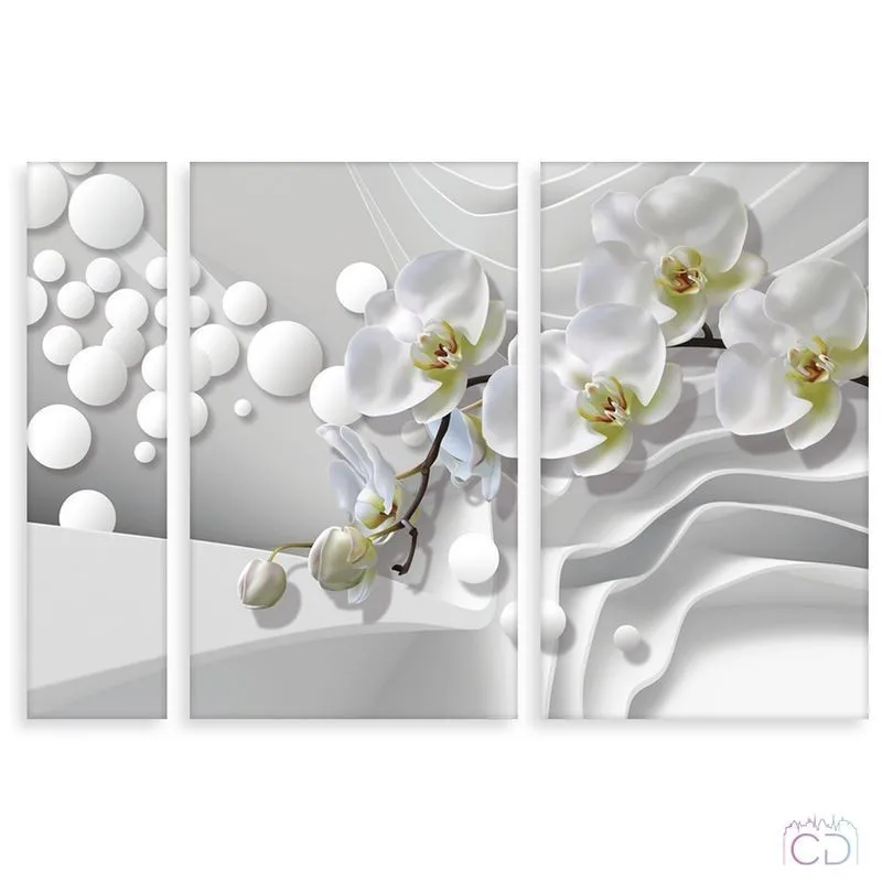 Модульная картина Citydecor Цветы/Растения арт. 11.21 (3 модуля) 75x118 см