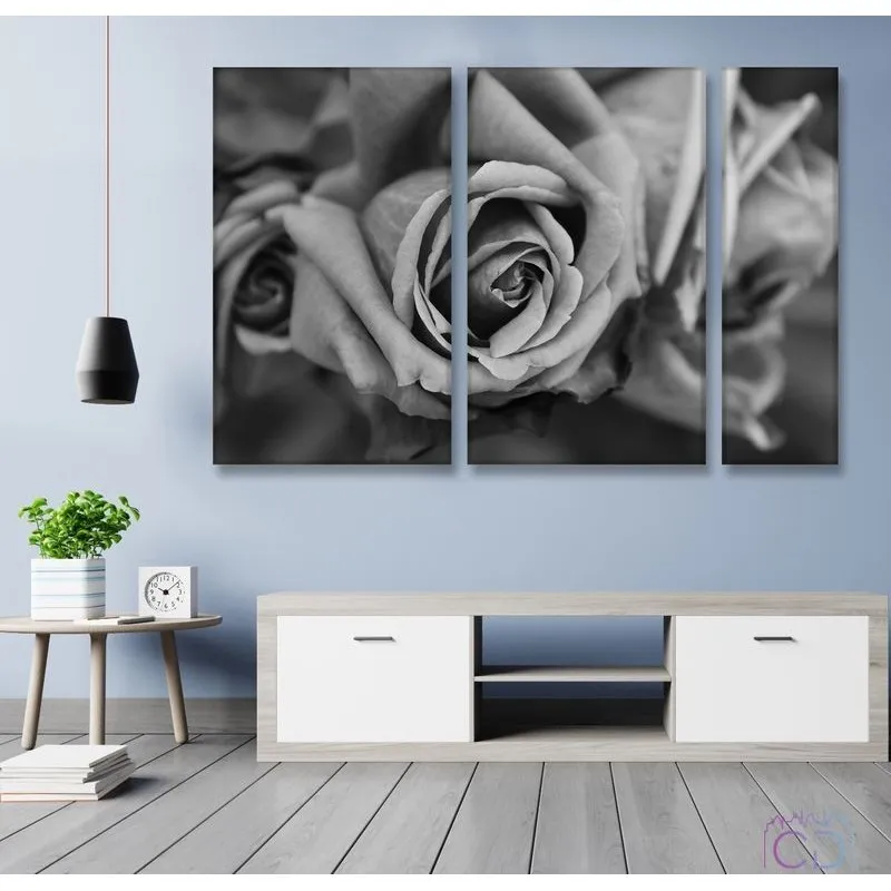 Модульная картина Citydecor Цветы/Растения арт. 11.23 (3 модуля) 75x118 см