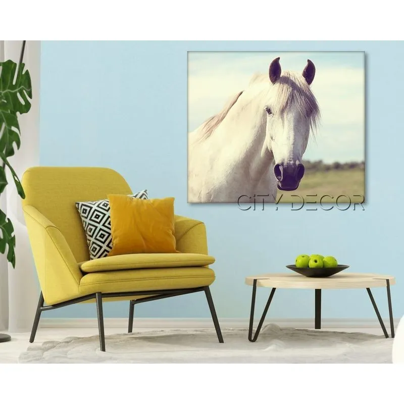 Модульная картина Citydecor Животные/Птицы арт. 2.52 (1 модуль) 60x70 см