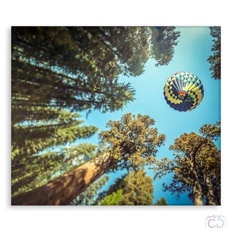 Модульная картина Citydecor Природа арт. 2.59 (1 модуль) 60x70 см