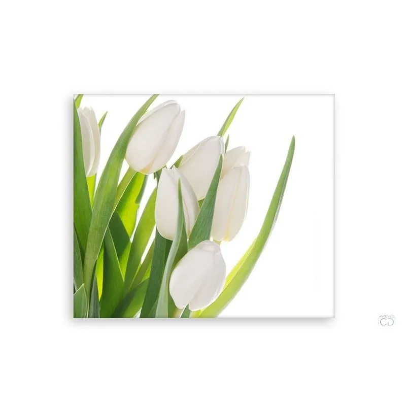 Модульная картина Citydecor Цветы/Растения арт. 2.63 (1 модуль) 60x70 см