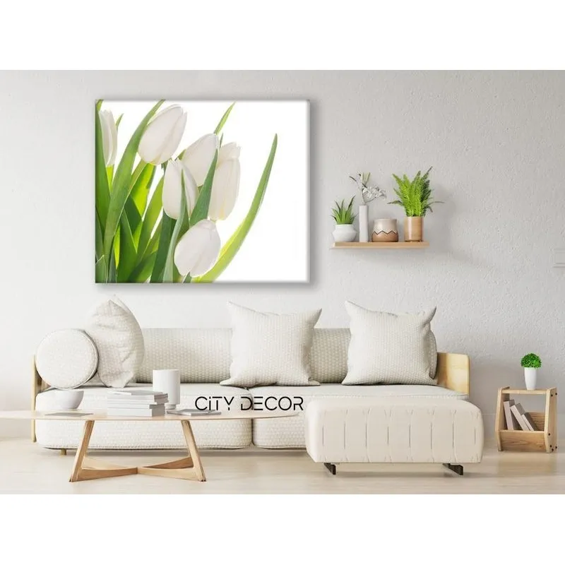 Модульная картина Citydecor Цветы/Растения арт. 2.63 (1 модуль) 60x70 см
