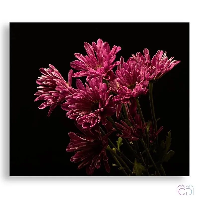 Модульная картина Citydecor Цветы/Растения арт. 2.65 (1 модуль) 60x70 см