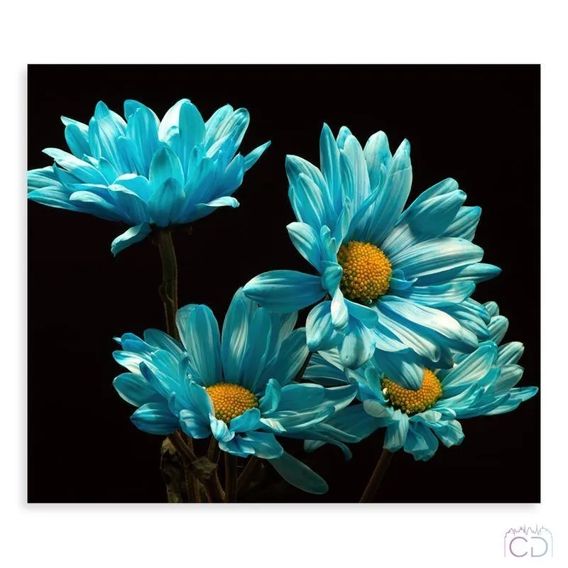 Модульная картина Citydecor Цветы/Растения арт. 2.67 (1 модуль) 60x70 см