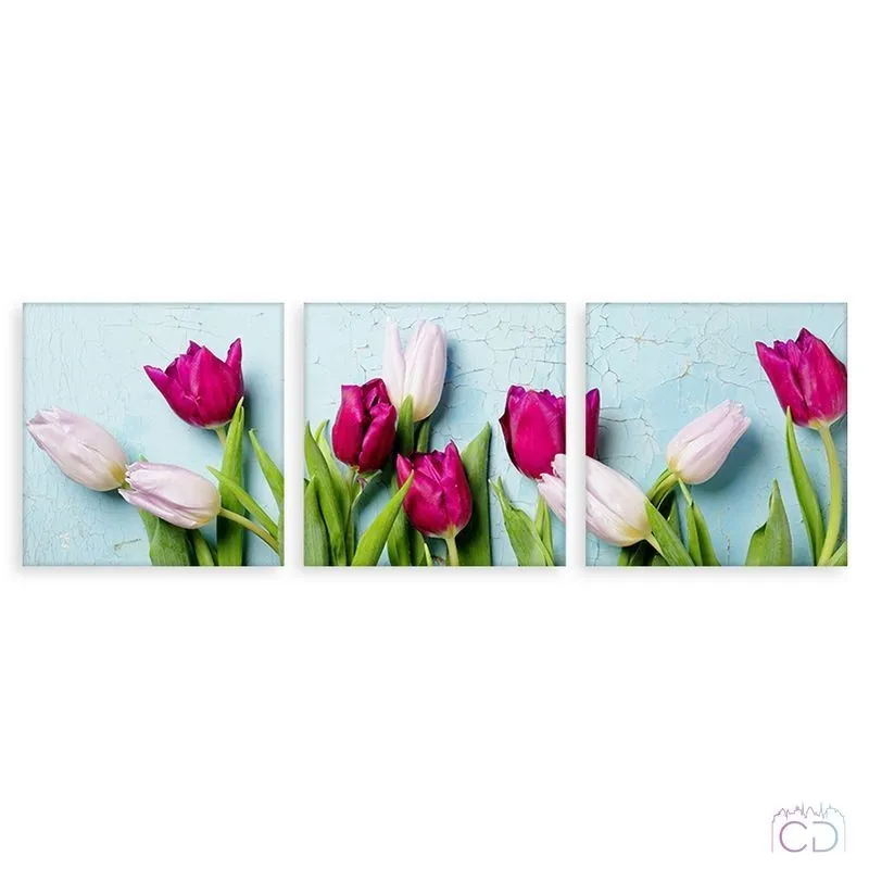 Модульная картина Citydecor Цветы/Растения арт. 3.37 (3 модуля) 37x117 см