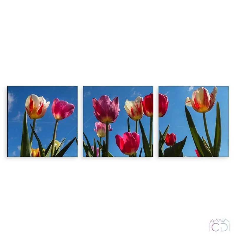 Модульная картина Citydecor Цветы/Растения арт. 3.38 (3 модуля) 37x117 см