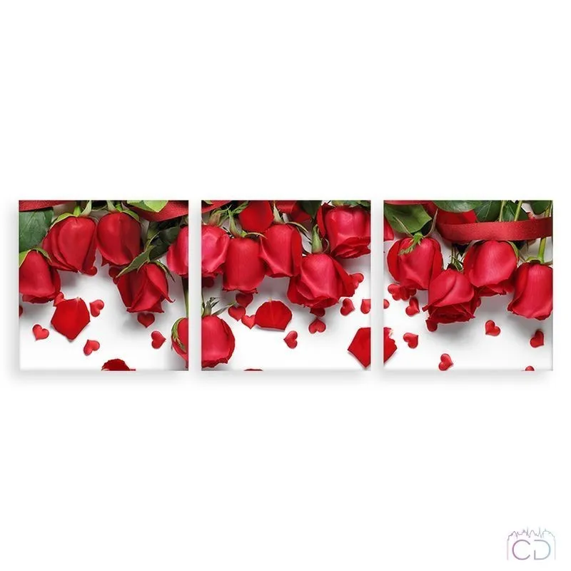 Модульная картина Citydecor Цветы/Растения арт. 3.40 (3 модуля) 37x117 см